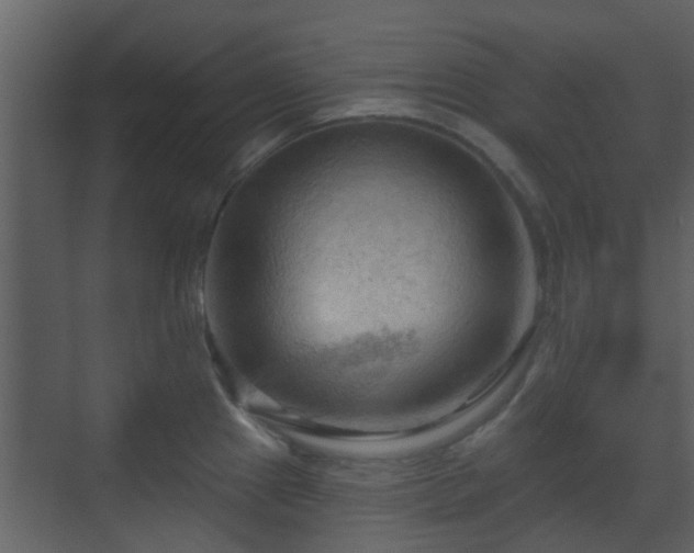 X0000070161241200605301251