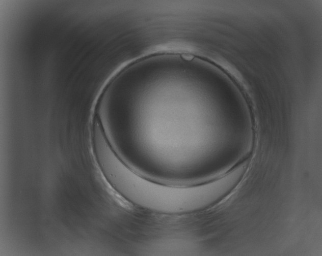 X0000070161248200605301251