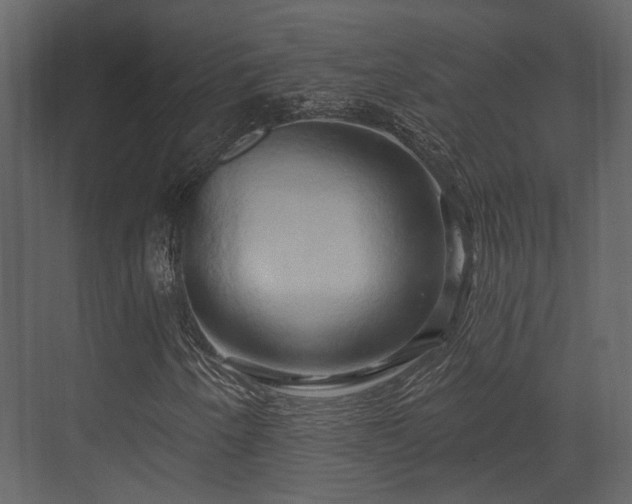 X0000070161250200605301250