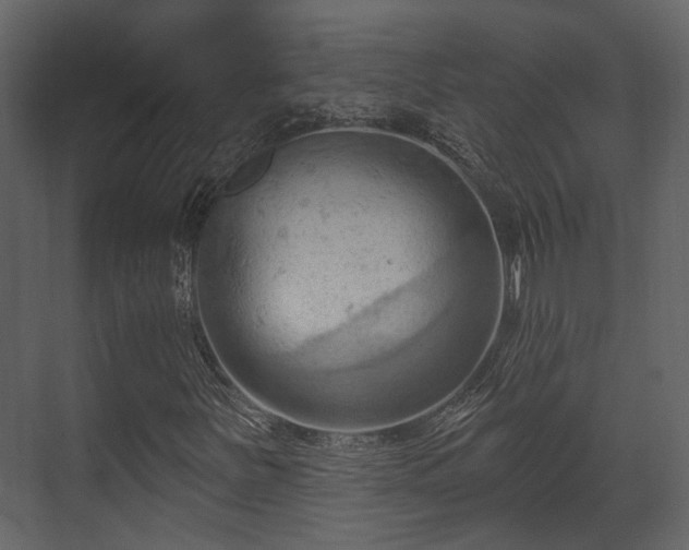 X0000070161251200605301250