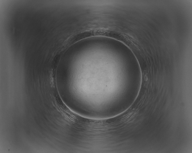 X0000070161252200605301250