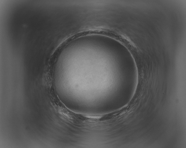 X0000070161256200605301250
