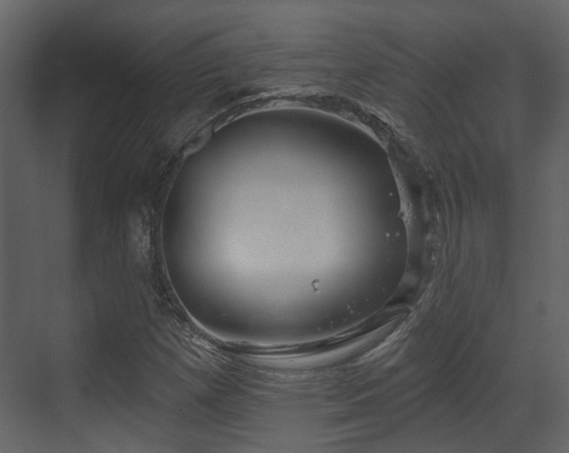 X0000070161257200605301250