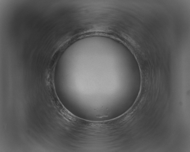 X0000070161258200605301250