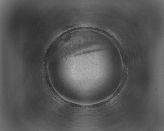 X0000070161263200605301250