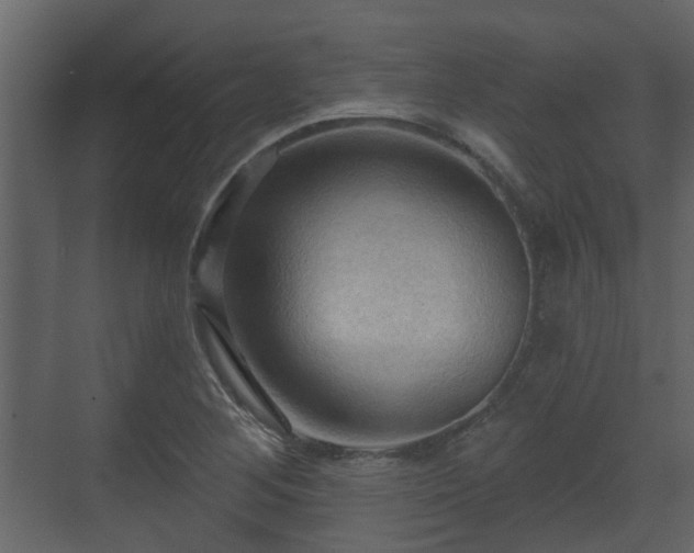 X0000070161268200605301250