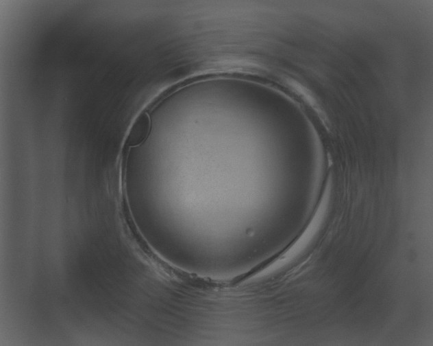 X0000070161275200605301250
