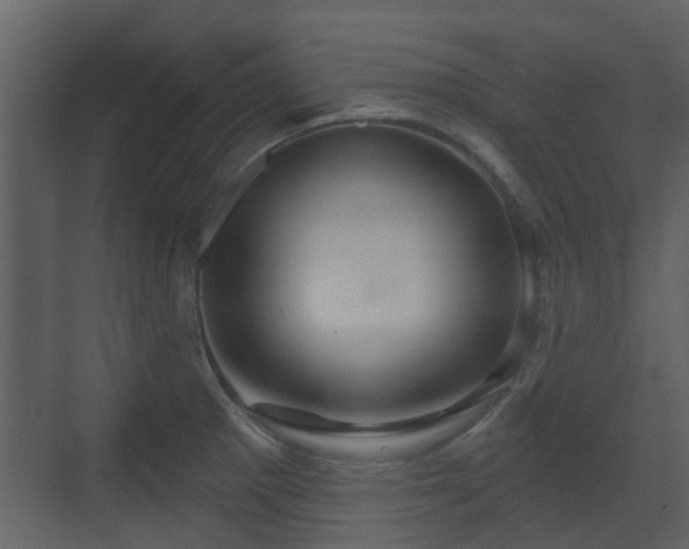 X0000070161281200605301250