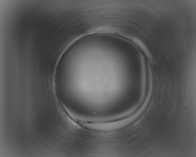 X0000070161288200605301250