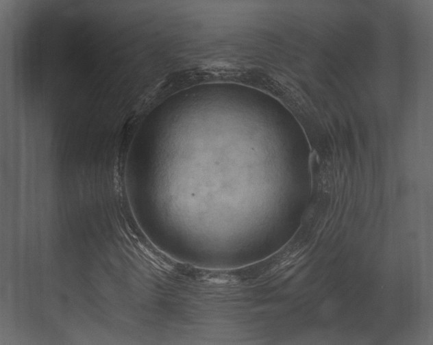 X0000070161298200605301249