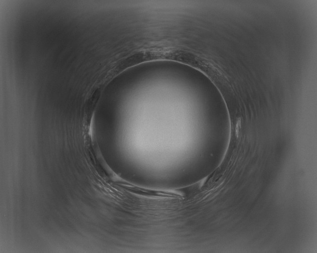 X0000070161299200605301249