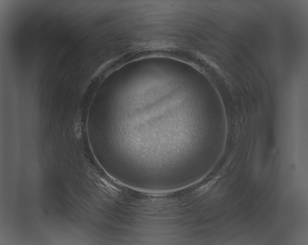 X0000070161306200605301249