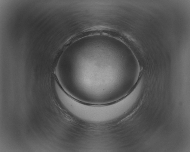 X0000070161313200605301249