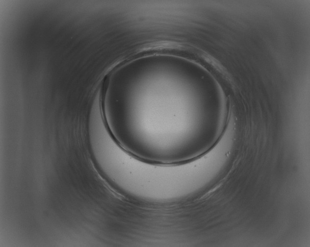 X0000070161321200605301249