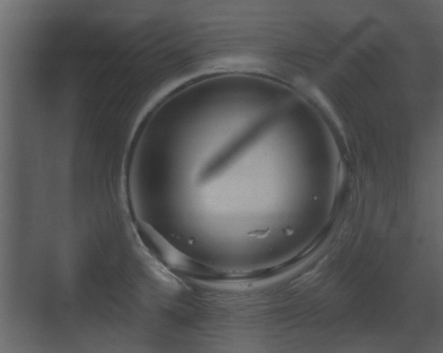 X0000070161336200605301249