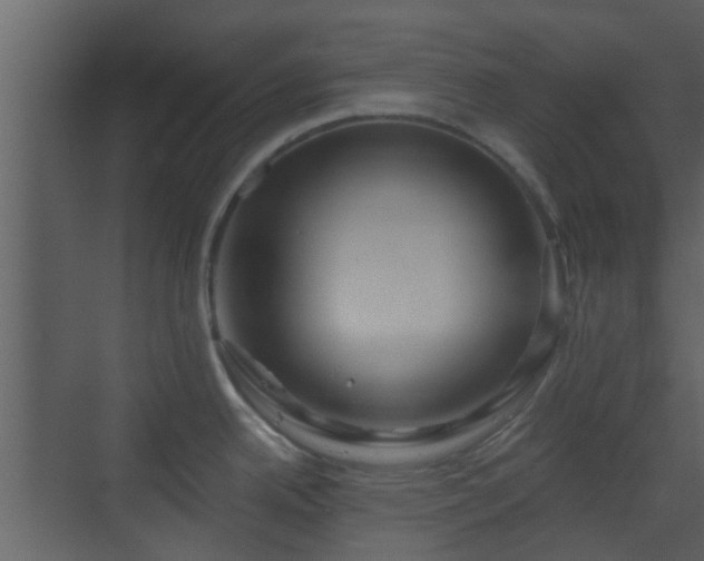X0000070161342200605301250