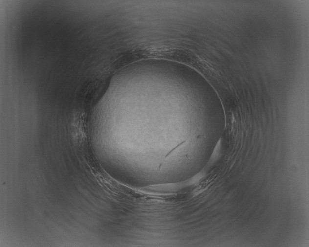 X0000070161346200605301249