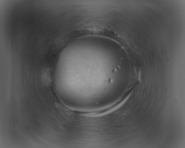 X0000070161347200605301249