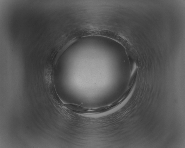 X0000070161348200605301249