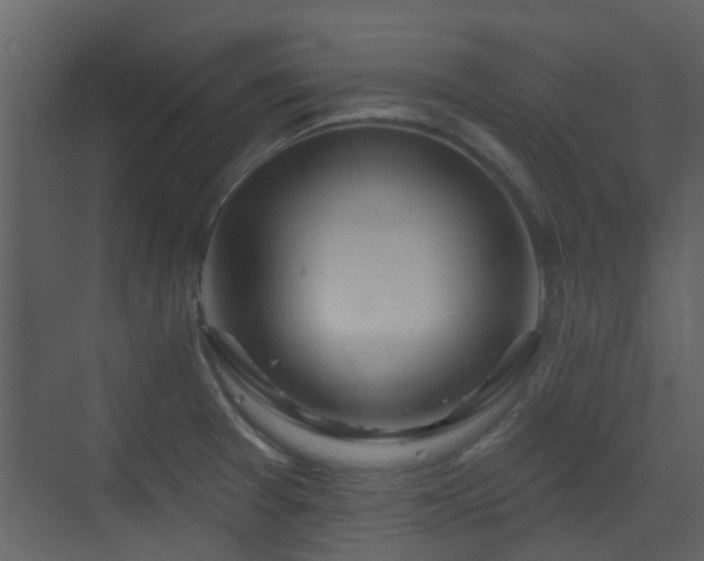 X0000070161377200605301248