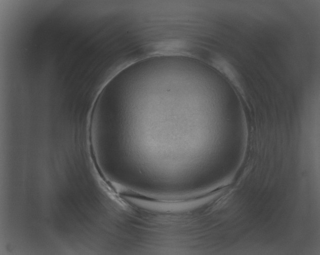 X0000070161386200605301248