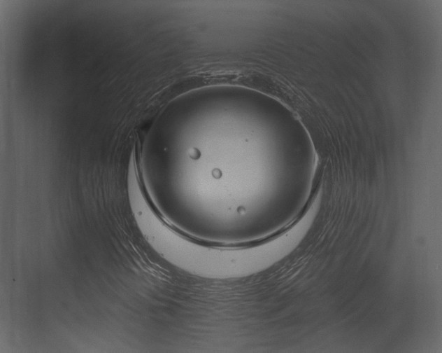 X0000070161394200605301247