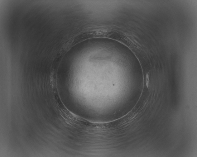 X0000070161395200605301247