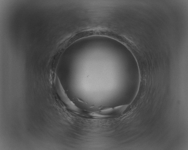 X0000070161398200605301247