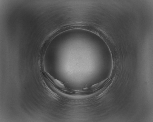 X0000070161402200605301247