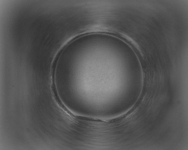X0000070161415200605301248