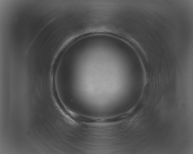 X0000070161416200605301248