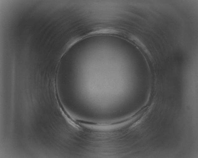 X0000070161425200605301248