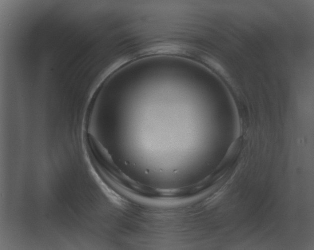 X0000070161426200605301248