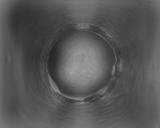 X0000070161441200605301247