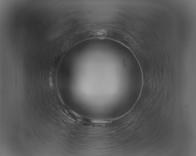 X0000070161442200605301247