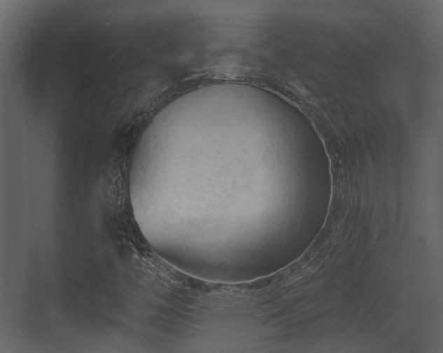 X0000070161446200605301247