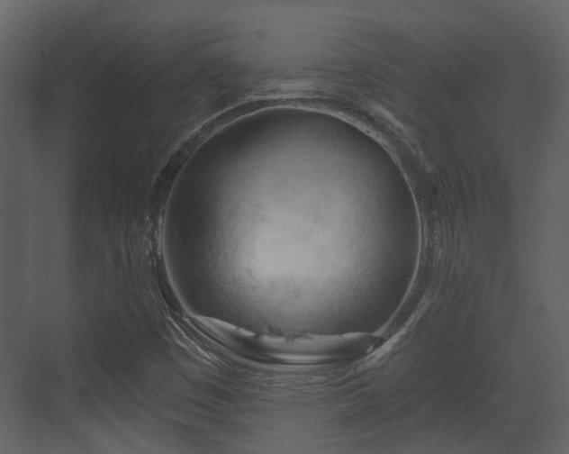 X0000070161449200605301247