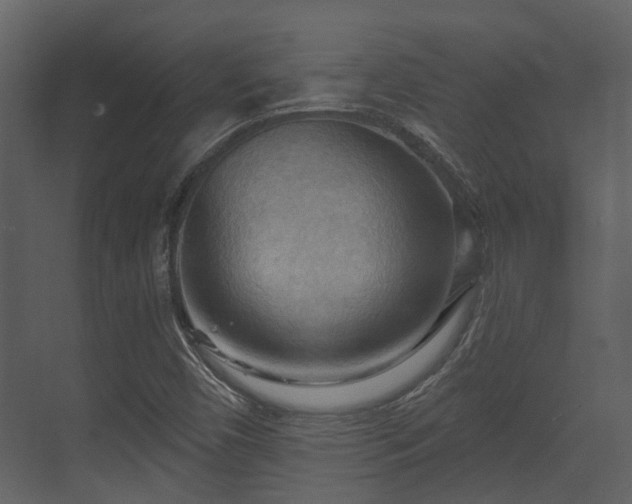 X0000070161450200605301247
