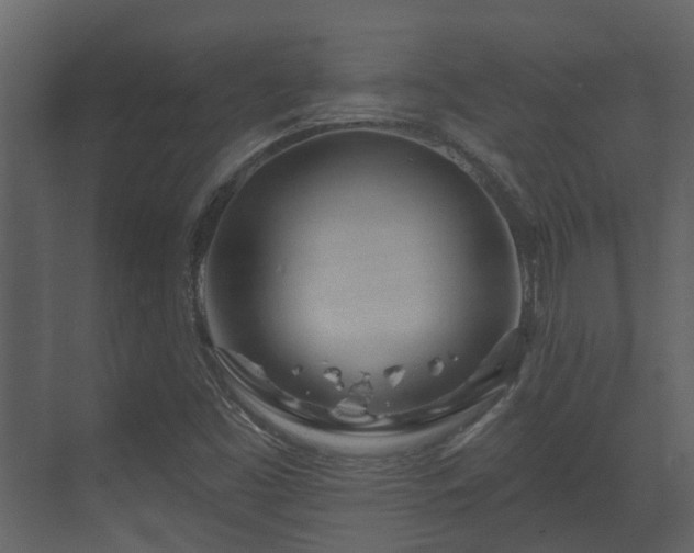 X0000070161453200605301247