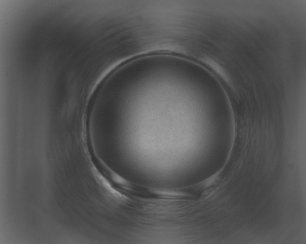 X0000070161468200605301247