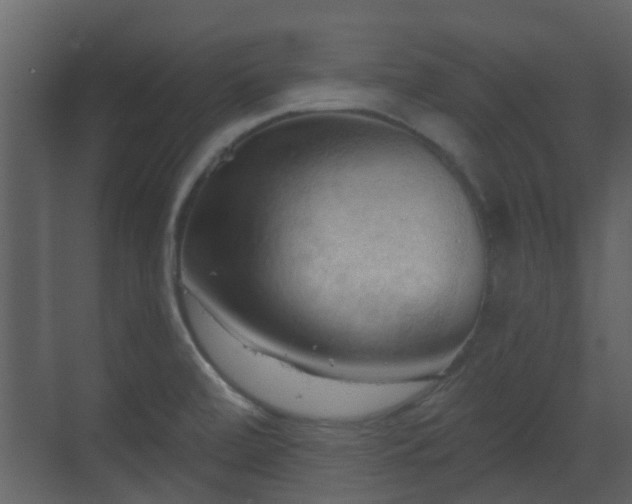 X0000070161472200605301247