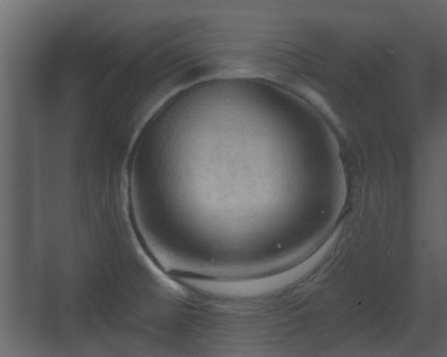 X0000070161476200605301247