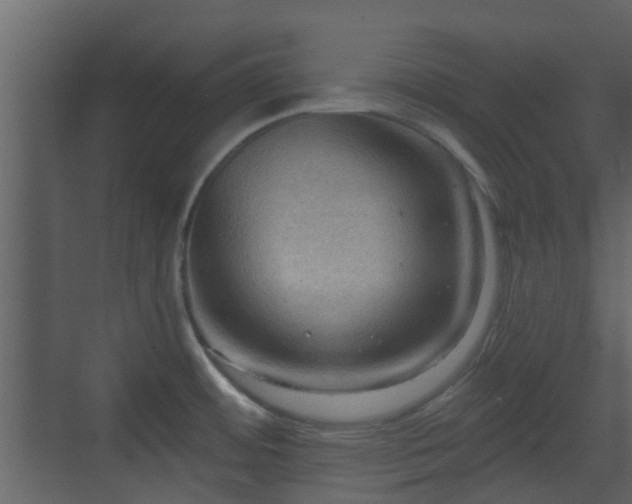 X0000070161484200605301246