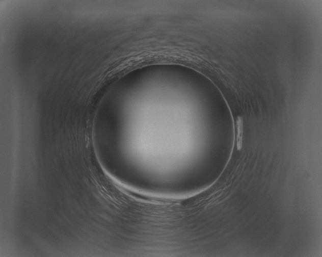X0000070161491200605301246