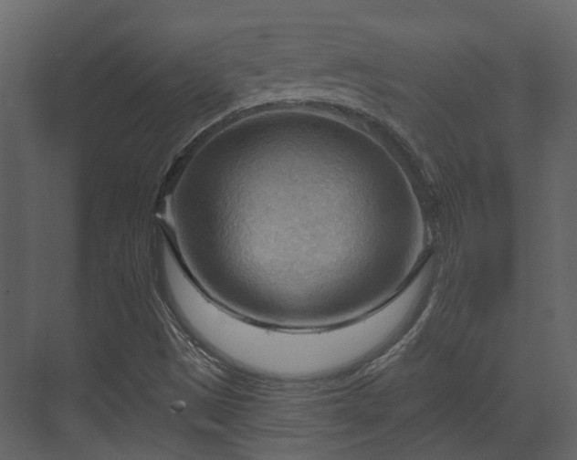 X0000070161497200605301246