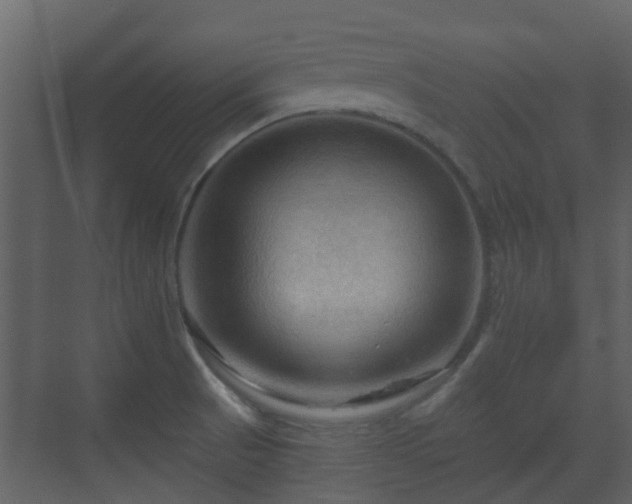 X0000070161521200605301246