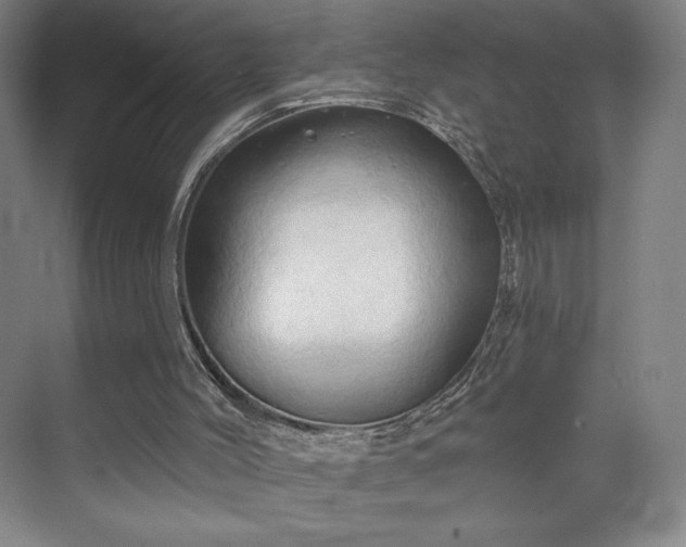 X0000070160004200606021043
