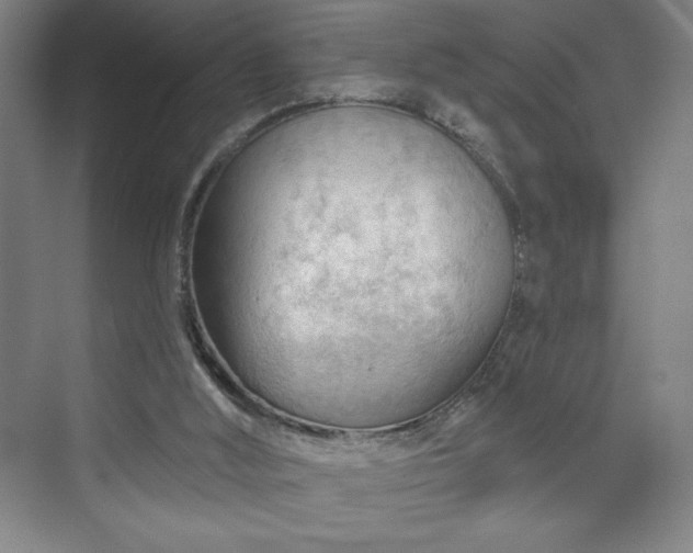 X0000070160012200606021043