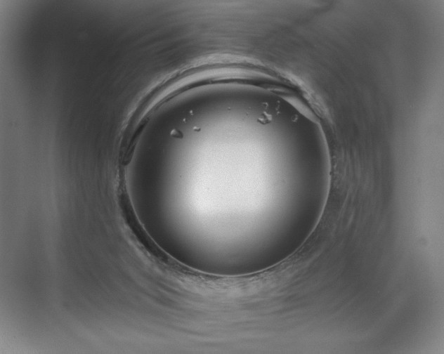 X0000070160015200606021043