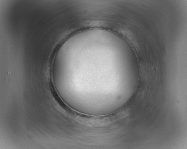 X0000070160016200606021043
